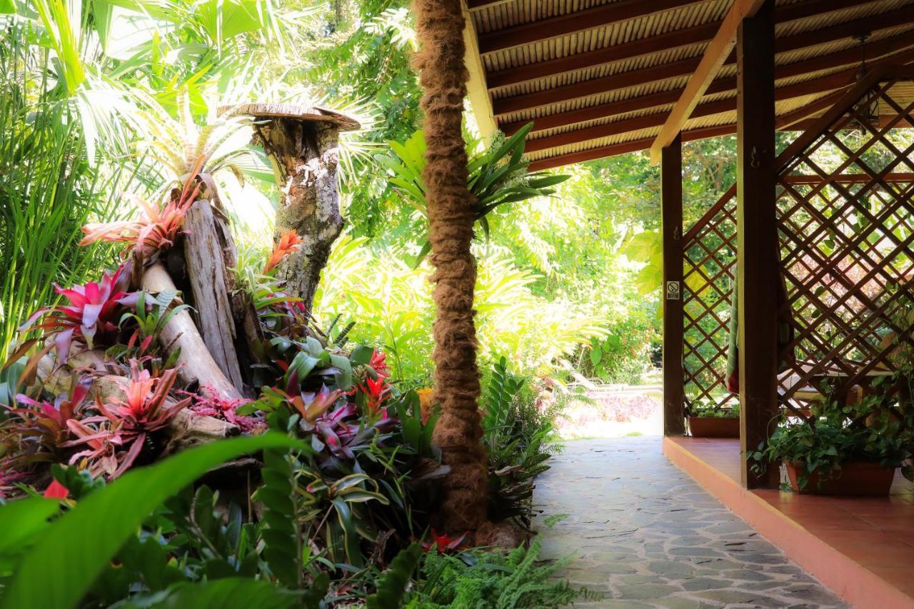 Hotel Casa Merlin Puerto Viejo de Talamanca Exteriör bild