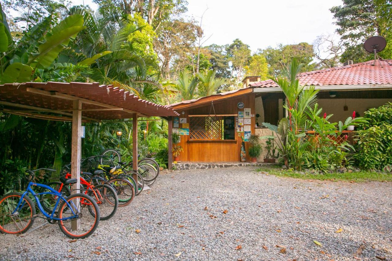 Hotel Casa Merlin Puerto Viejo de Talamanca Exteriör bild